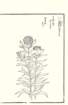 photo17_small.jpg