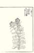 photo25_small.jpg