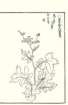photo27_small.jpg