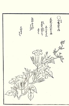 photo32.jpg