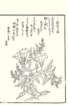 photo33_small.jpg