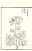 photo34_small.jpg