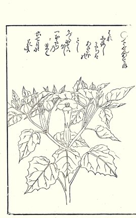 photo36.jpg