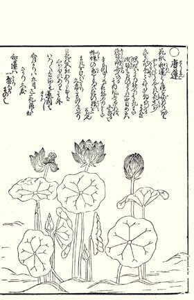 photo39.jpg