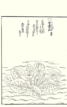 photo40.jpg