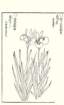 photo46_small.jpg