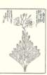 photo49_small.jpg