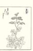 photo53_small.jpg