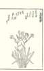 photo57_small.jpg