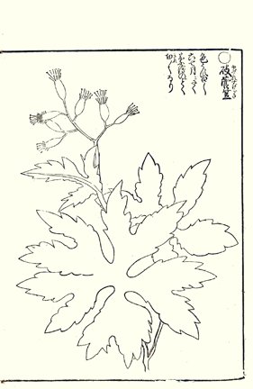 photo59.jpg