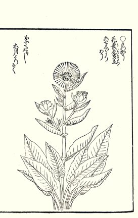 photo67.jpg