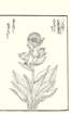photo67_small.jpg