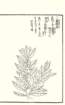 photo69_small.jpg