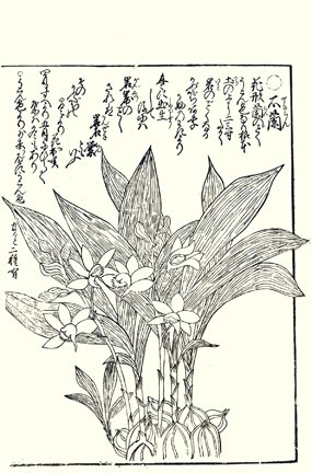 photo7.jpg