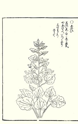photo70.jpg