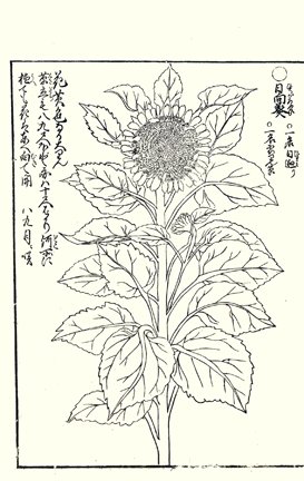 photo8.jpg