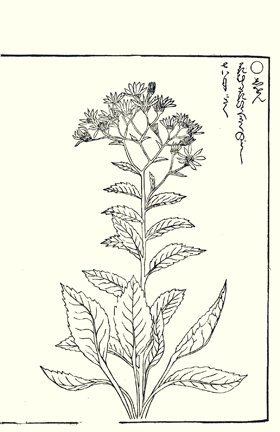 photo83.jpg