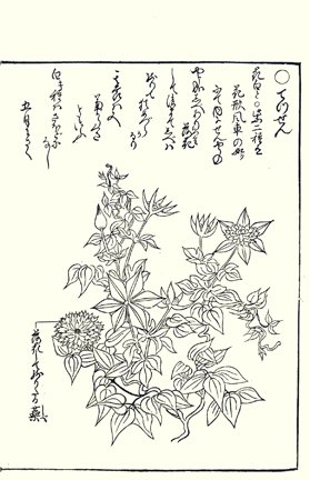 photo89.jpg
