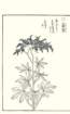 photo90_small.jpg