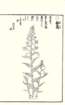 photo91_small.jpg