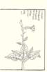 photo95_small.jpg
