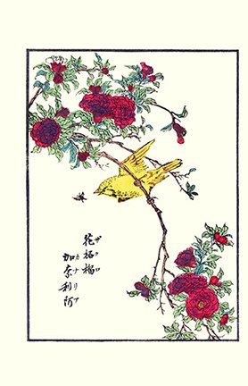 photo9.jpg