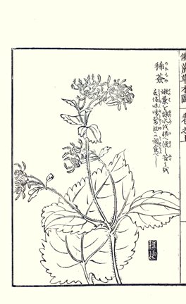 photo.jpg