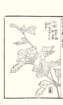 photo100_small.jpg