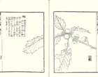 photo104_small.jpg