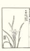 photo10_small.jpg