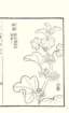 photo11_small.jpg