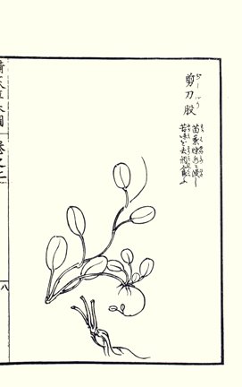 photo13.jpg