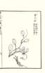 photo13_small.jpg