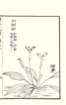 photo15_small.jpg