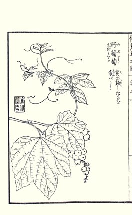 photo18.jpg