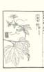 photo18_small.jpg
