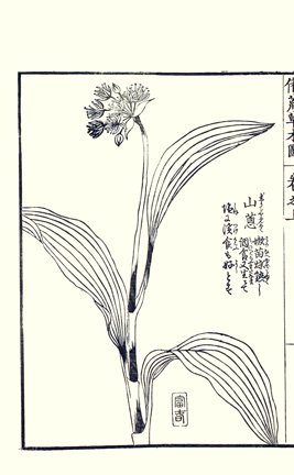 photo20.jpg