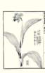 photo20_small.jpg
