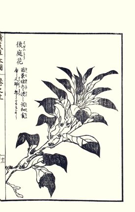 photo21.jpg