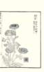photo24_small.jpg