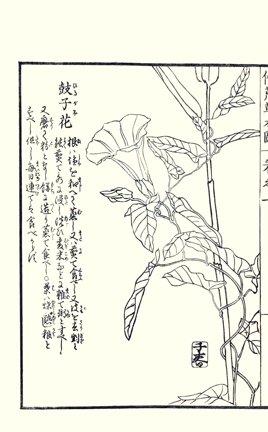 photo27.jpg