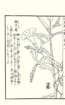 photo27_small.jpg