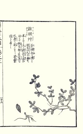 photo28.jpg