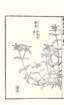 photo29_small.jpg