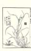 photo31_small.jpg