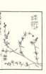 photo32_small.jpg