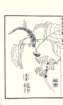 photo33_small.jpg