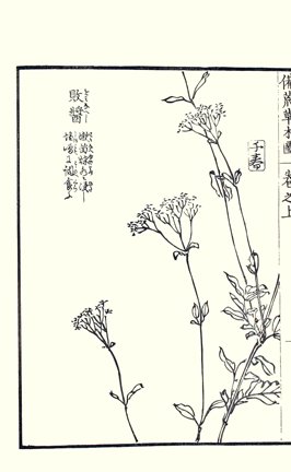 photo35.jpg