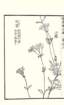 photo35_small.jpg