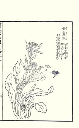 photo36.jpg